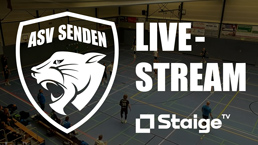 Teasergrafik mit Bild aus einer Sporthalle im Hintergrund. Darauf steht das ASV Senden Handball Logo und der Text 'Livestream' sowie das Staige TV Logo
